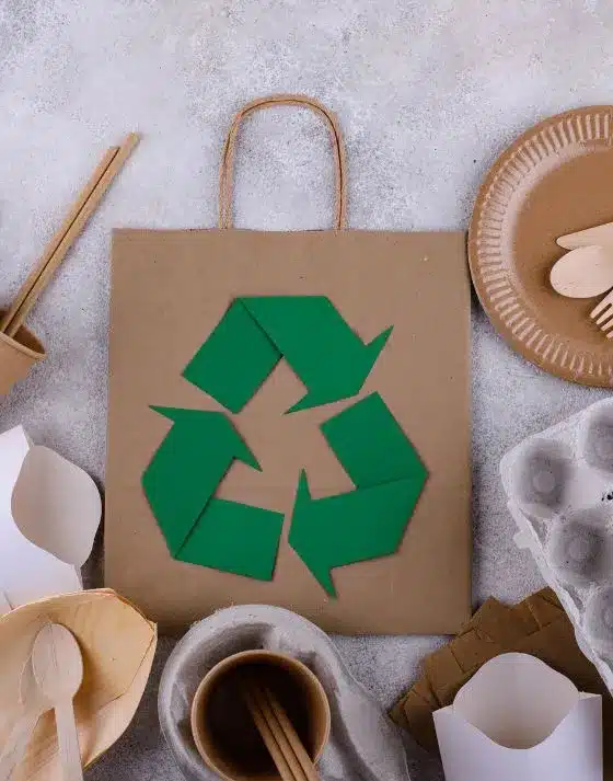 Recyle bag